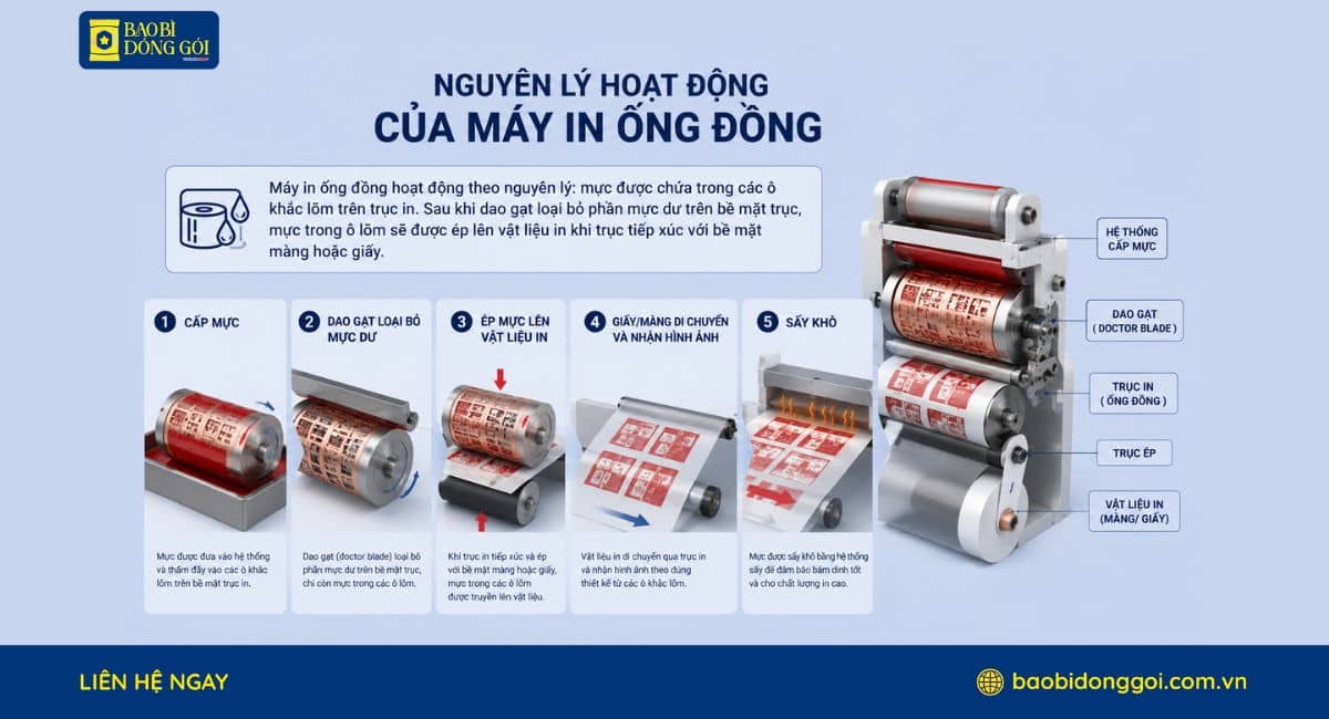 Nguyên lý hoạt đống của máy in trục đồng